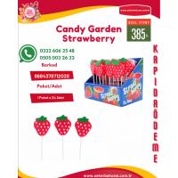 Çilek Lolipop (24 Adet) 